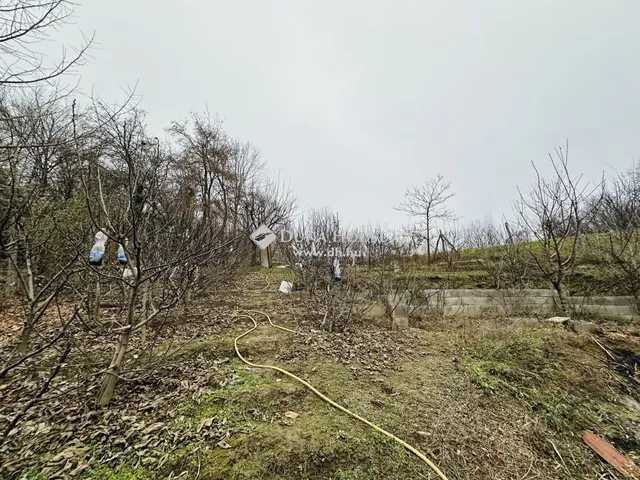 Eladó ház Pilismarót 310 nm