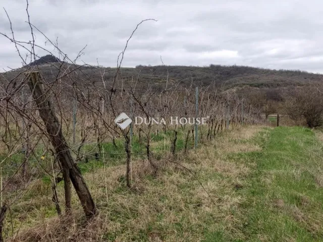 Eladó telek Tokod 8255 nm