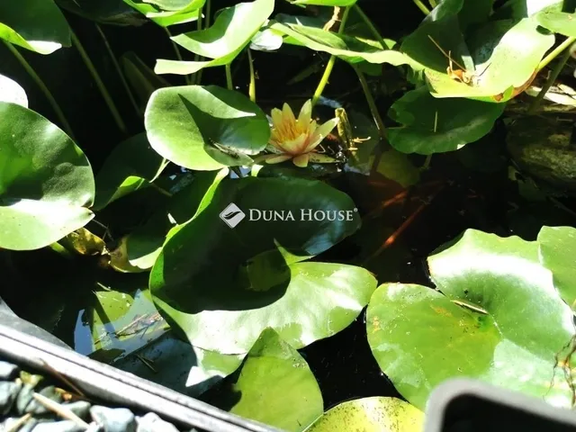 Eladó üdülő és hétvégi ház Tokod 90 nm