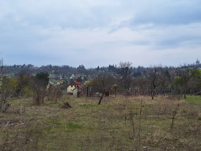 Eladó mezőgazdasági ingatlan Gödöllő, Blaha 3780 nm