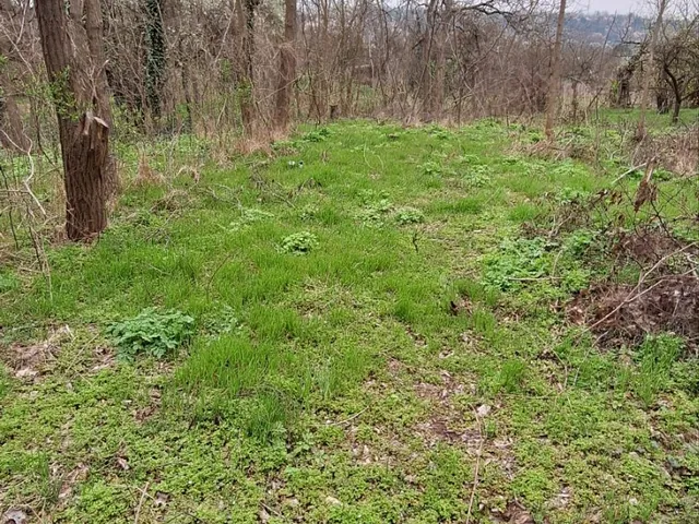 Eladó mezőgazdasági ingatlan Gödöllő, Blaha 3780 nm