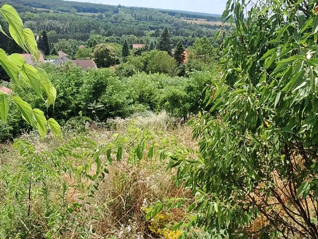 Eladó telek Gödöllő 1200 nm