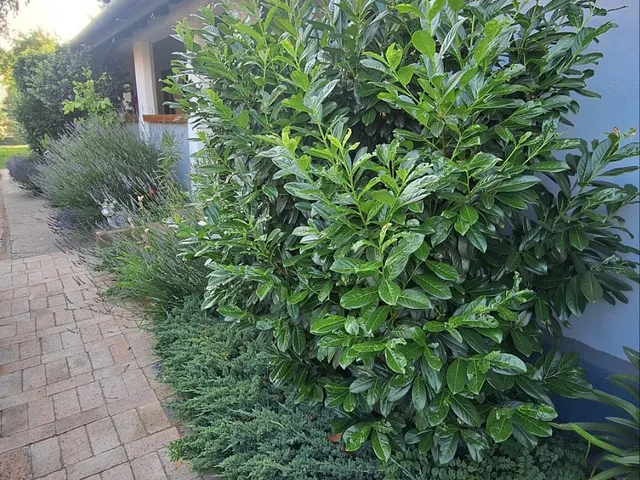 Eladó ház Gödöllő 120 nm