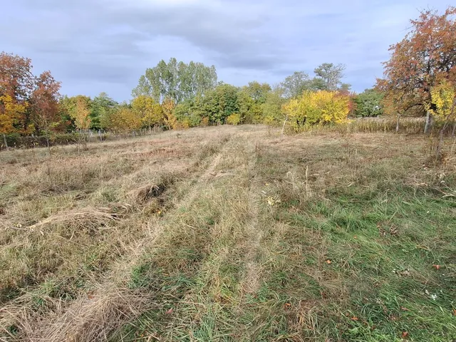 Eladó telek Szada 8564 nm