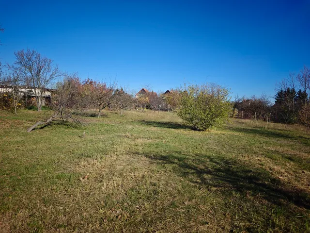 Eladó telek Őrbottyán 80 nm