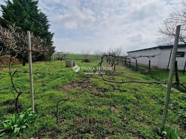 Eladó ház Martonvásár 230 nm