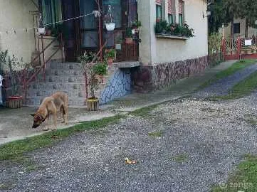 Eladó ház Nemessándorháza, Rákóczi Ferenc utca 104 nm