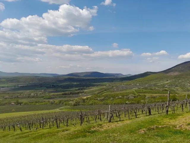 Eladó telek Sátoraljaújhely 400000 nm