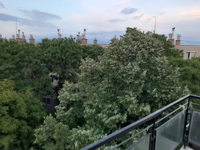 Eladó lakás Budapest XXII. kerület 44 nm