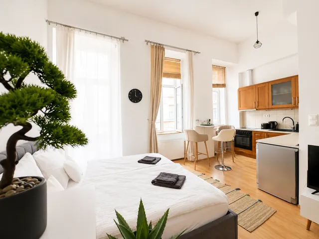 Eladó lakás Budapest VII. kerület 30 nm