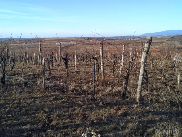 Eladó mezőgazdasági ingatlan Eger, Almagyar 3620 nm