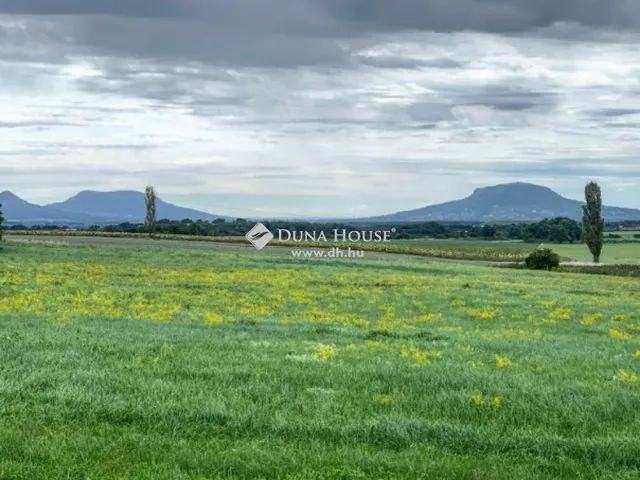 Eladó ház Sáska 254 nm