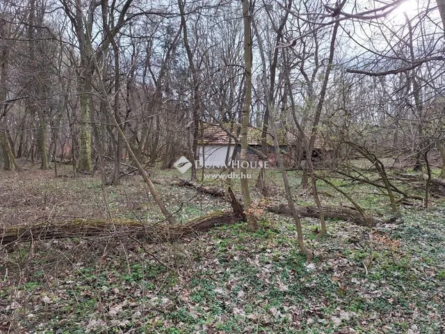 Eladó telek Páka 2044 nm