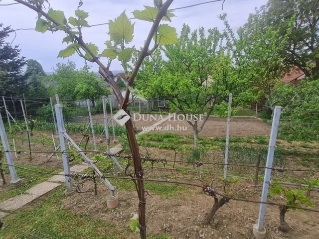 Eladó ház Zalaegerszeg 117 nm