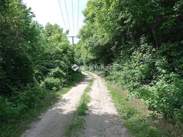 Eladó telek Zalaistvánd 2972 nm