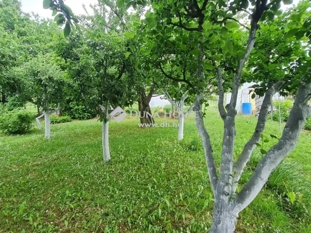 Eladó ház Zalaegerszeg 217 nm