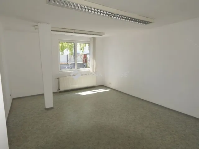 Kiadó kereskedelmi és ipari ingatlan Zalaegerszeg, Belváros 447 nm