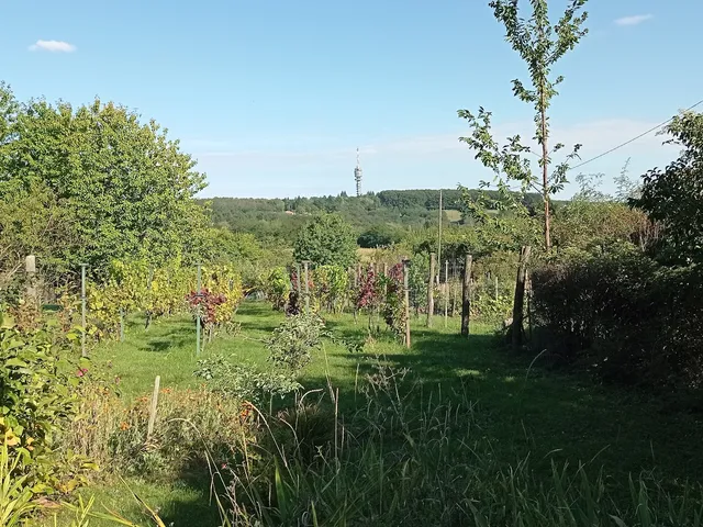 Eladó üdülő és hétvégi ház Zalaegerszeg, Magasbükk 25 nm