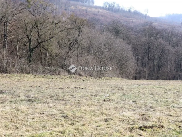 Eladó mezőgazdasági ingatlan Alsónemesapáti 110636 nm