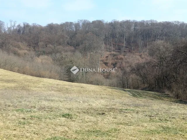 Eladó telek Alsónemesapáti 110636 nm