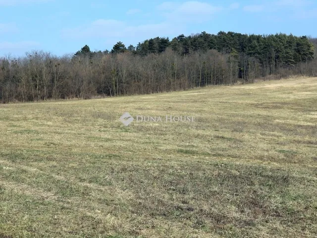 Eladó telek Alsónemesapáti 110636 nm