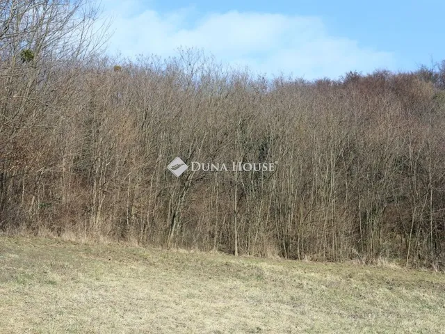 Eladó telek Alsónemesapáti 110636 nm