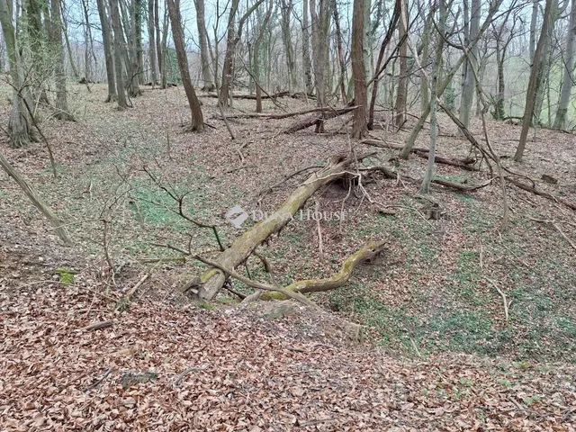 Eladó telek Páka 2044 nm