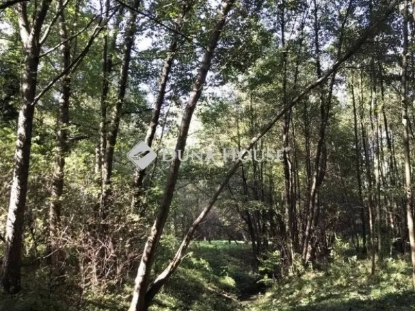 Eladó telek Bagod 3900 nm