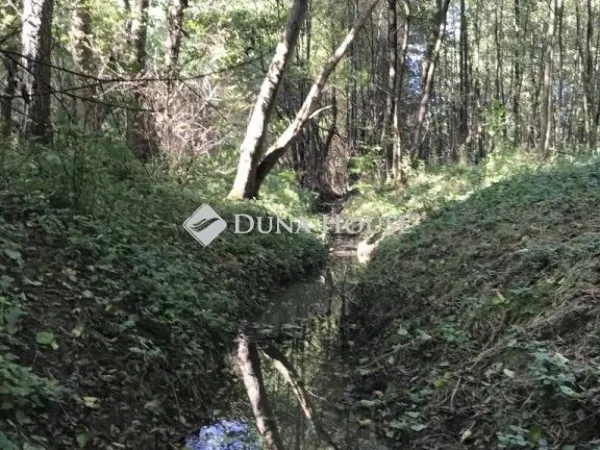 Eladó telek Bagod 3900 nm