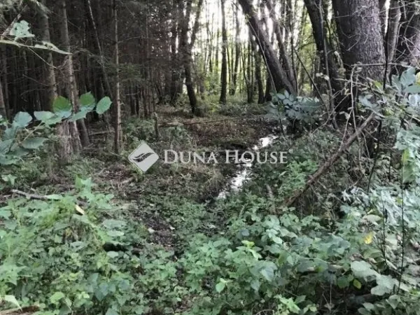 Eladó telek Bagod 3900 nm