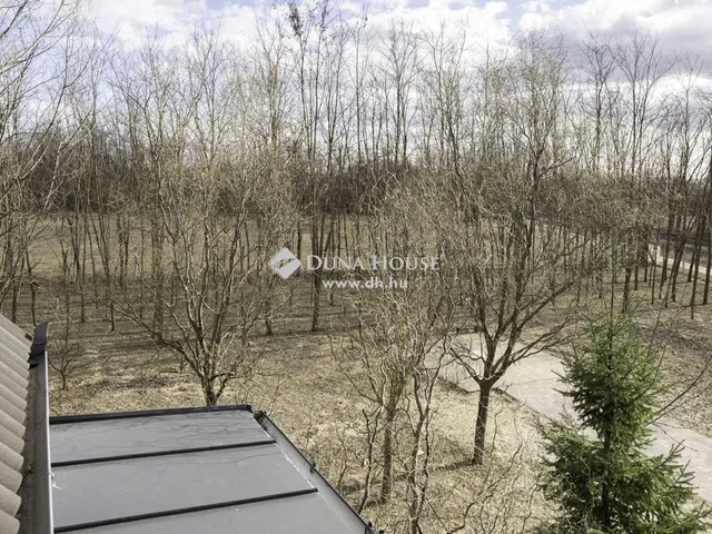 Eladó ház Kecskemét 215 nm