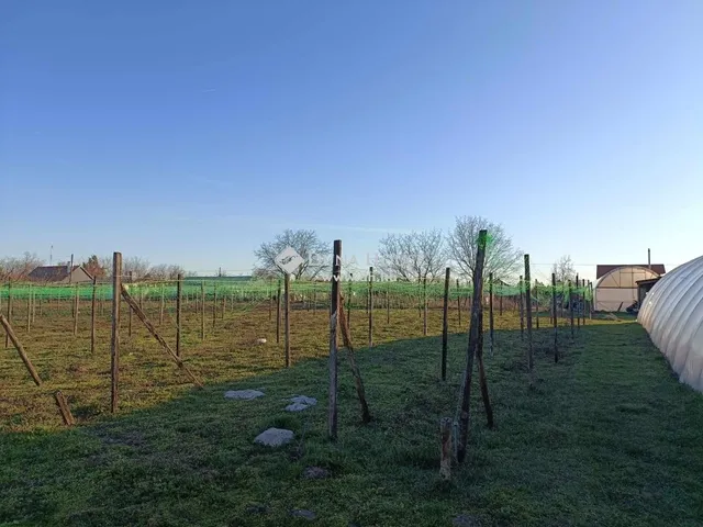 Eladó mezőgazdasági ingatlan Nagykőrös 34 nm