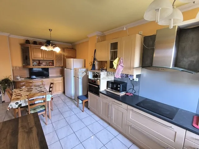 Kiadó lakás Kecskemét 184 nm