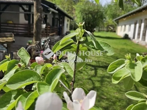 Eladó ház Kecskemét, Kisfái 97 nm