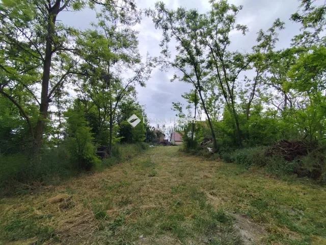 Eladó mezőgazdasági ingatlan Nyárlőrinc 80 nm