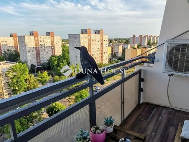 Eladó lakás Kecskemét 34 nm