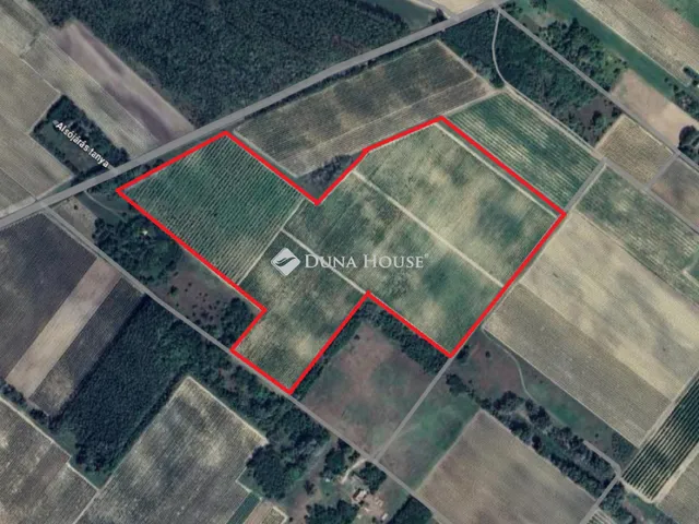 Eladó telek Orgovány 146194 nm