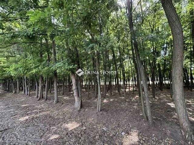 Eladó ház Kecskemét 134 nm