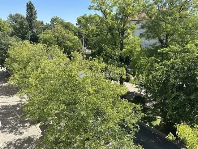 Eladó lakás Kecskemét, Belváros 54 nm