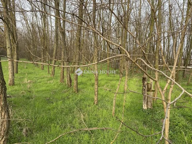 Eladó ház Ladánybene 80 nm