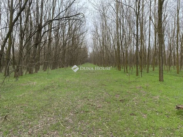 Eladó ház Ladánybene 80 nm