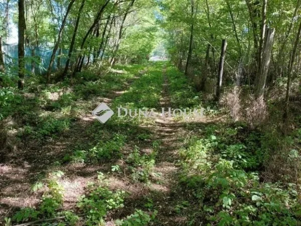 Eladó telek Kecskemét 4821 nm