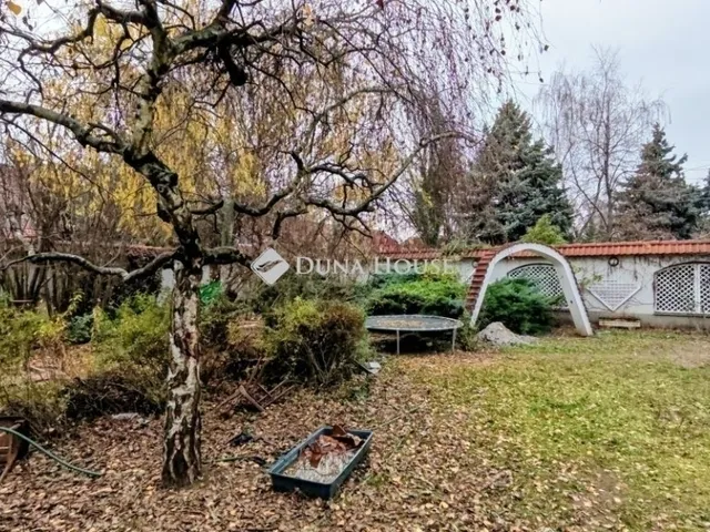 Eladó ház Kecskemét 402 nm