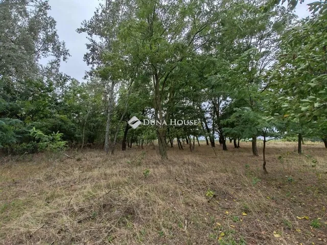 Eladó mezőgazdasági ingatlan Izsák 60 nm