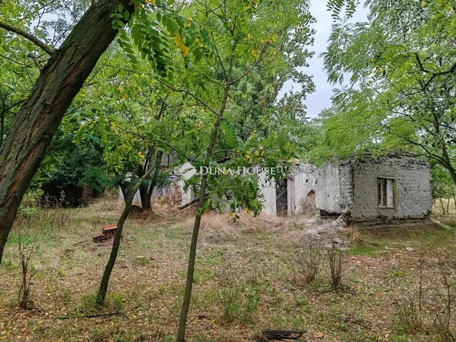 Eladó telek Izsák 30610 nm