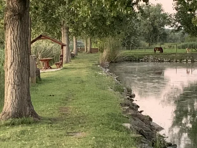 Eladó ház Császártöltés 189 nm