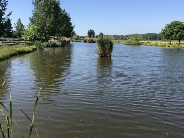 Eladó ház Császártöltés 189 nm