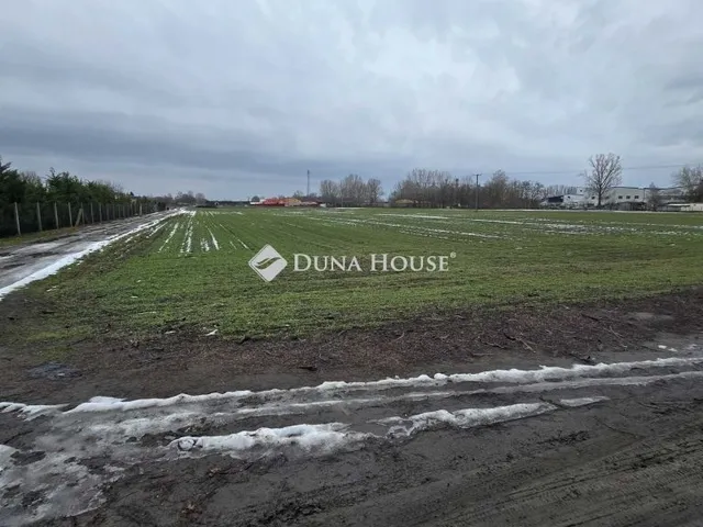 Eladó telek Szentkirály 9249 nm