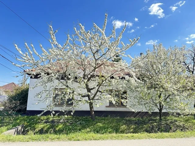 Eladó ház Nagykőrös 88 nm