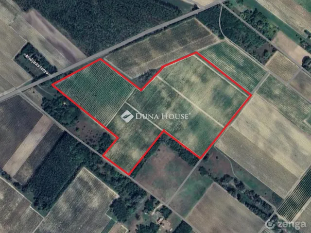 Eladó telek Orgovány 146194 nm